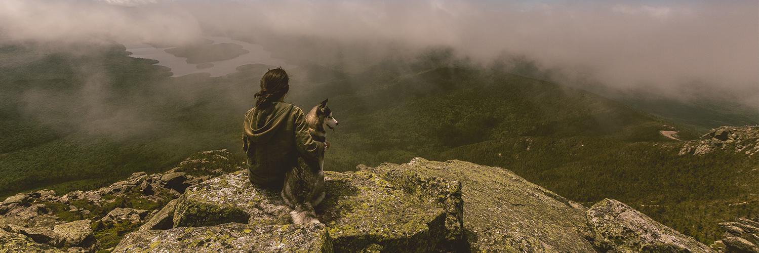 KnowYourCritter's profile banner image