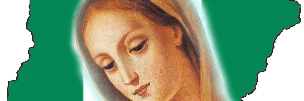 Anne4rilAnne's profile banner image
