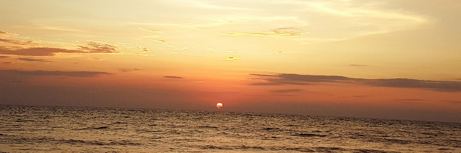 shellysamar's profile banner image