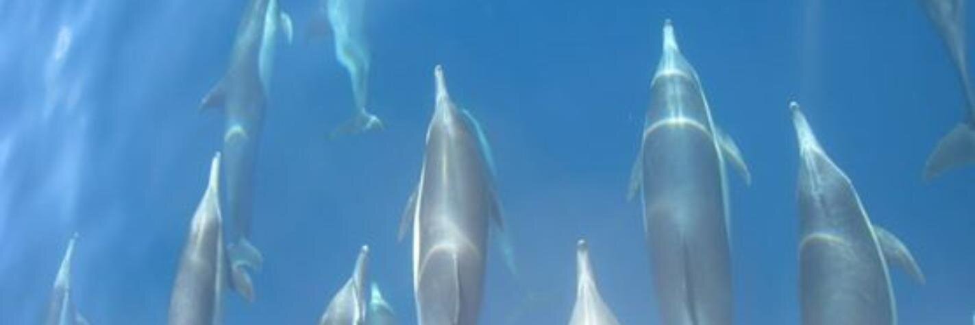 Journey2Beth's profile banner image