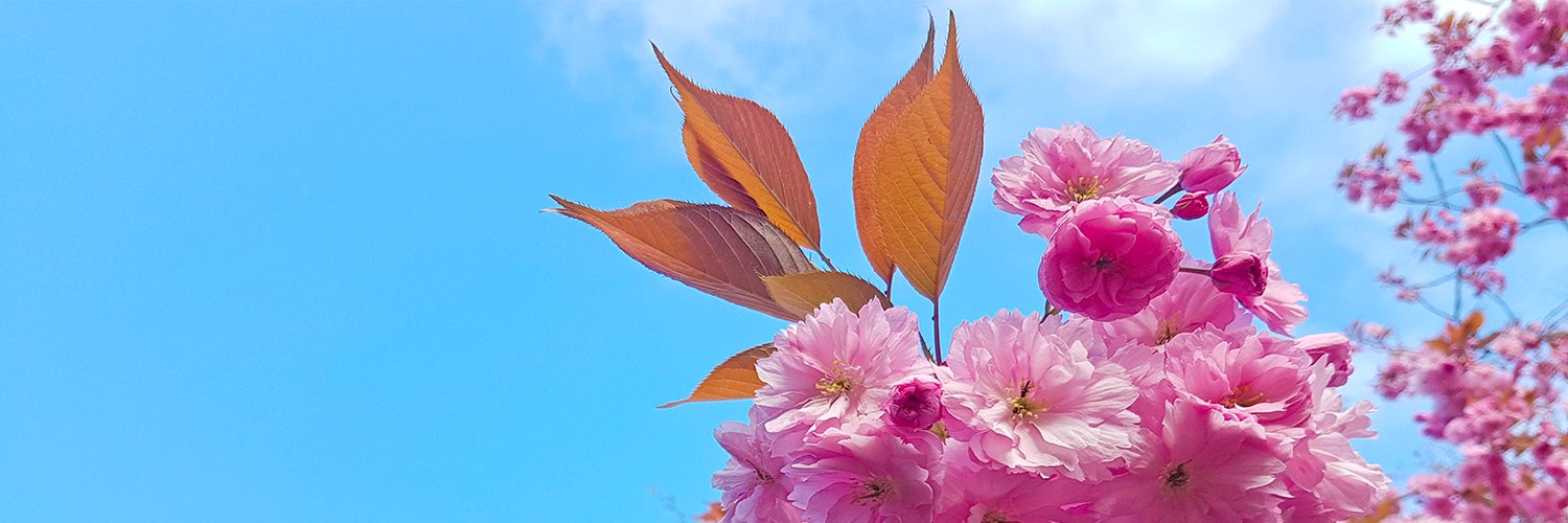 seatedyoga's profile banner image