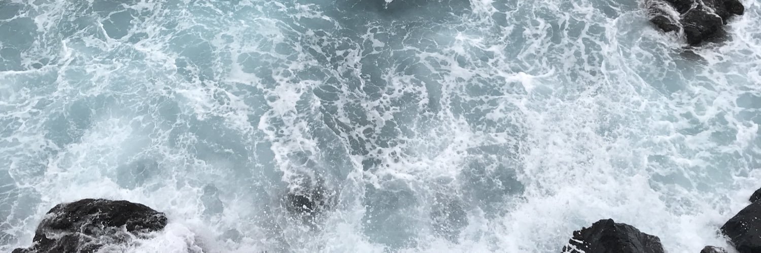 Janire Alfaya banner