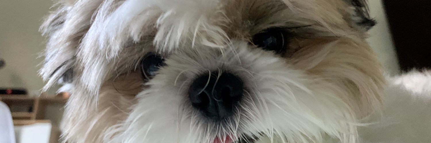 GresPoleng's profile banner image