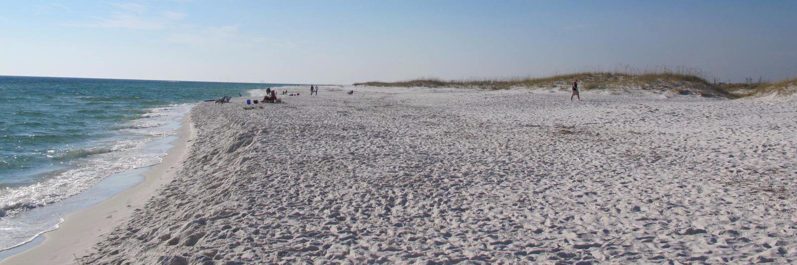 Katy Skip The Bag banner