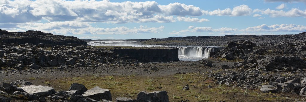 Werner Herzog's missing shoe banner