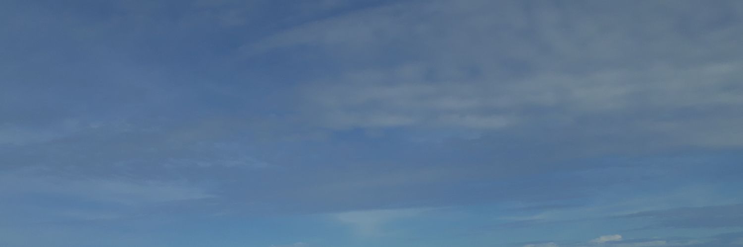 flinhavinha's profile banner image
