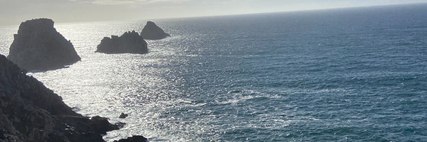 CarolineLTK's profile banner image