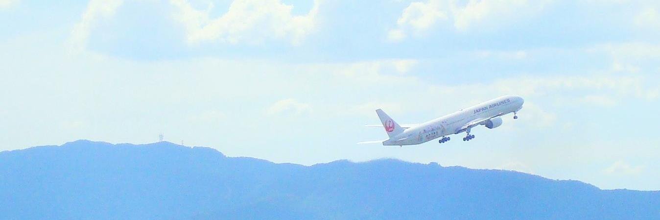 utaokapi's profile banner image