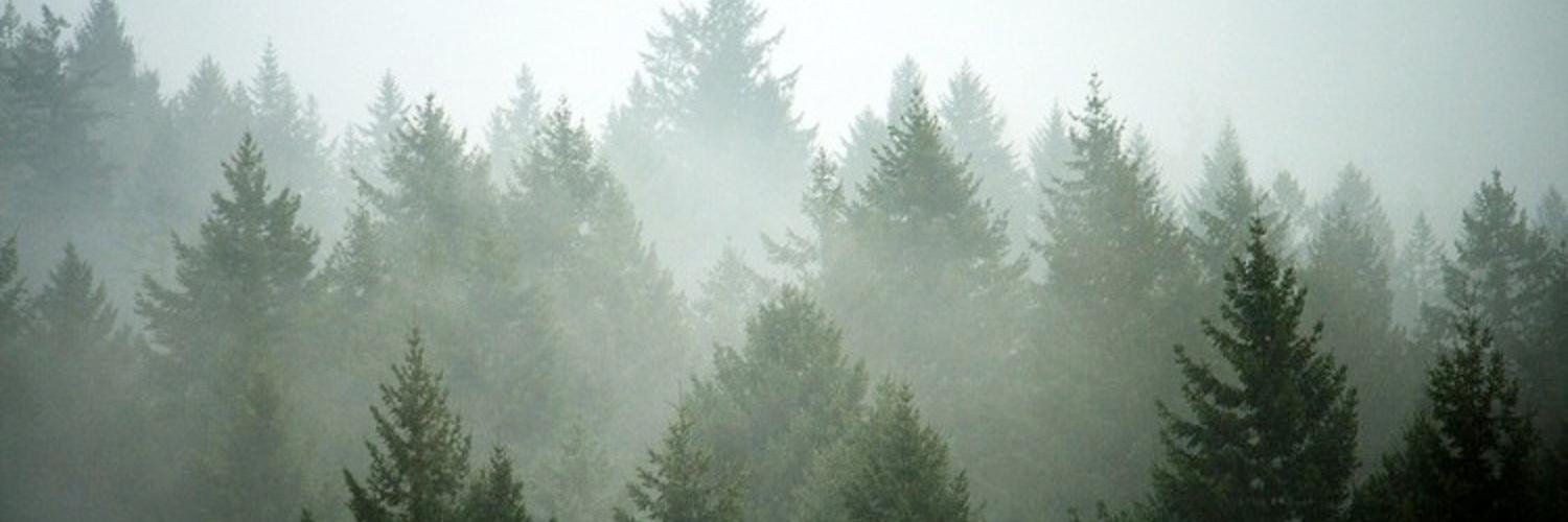 zLann_'s profile banner image