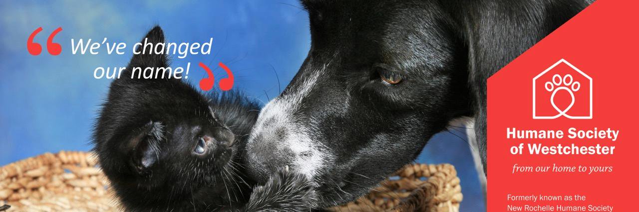 HumaneSocWestch's profile banner image