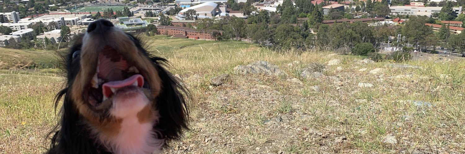 emmyruthless's profile banner image