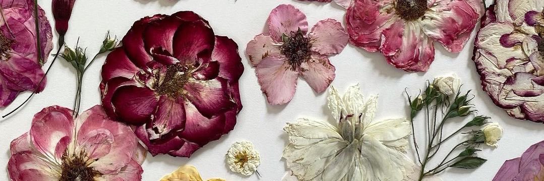 plumarmaladee's profile banner image