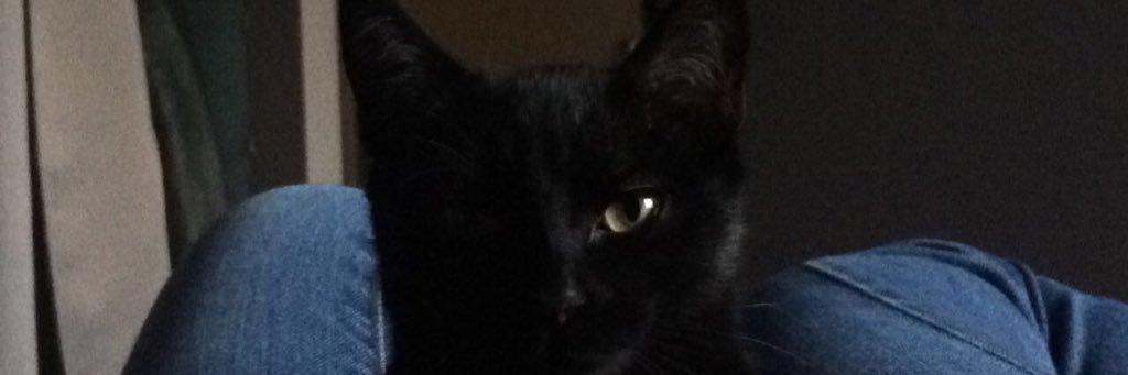 Justinesvx's profile banner image