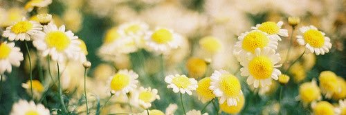 camibeaconf's profile banner image
