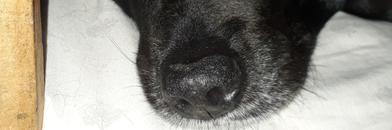 madatmendes's profile banner image
