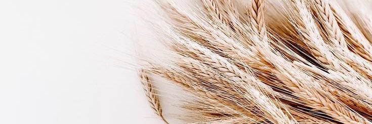 ElisamaAlves01's profile banner image