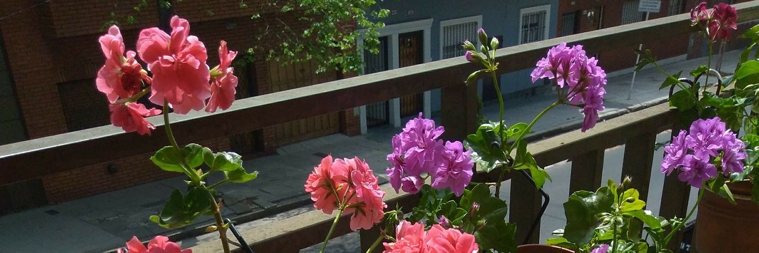 Patlux1's profile banner image