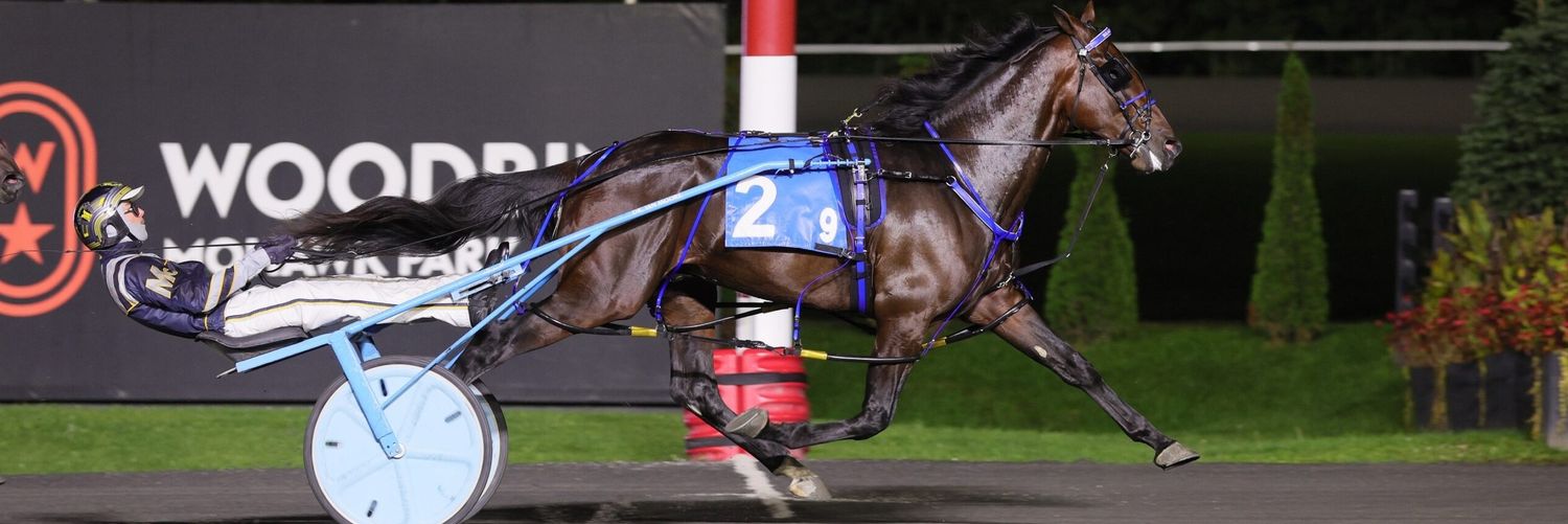 Chris Moran 🇺🇸 banner