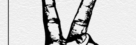 luc_teugels's profile banner image