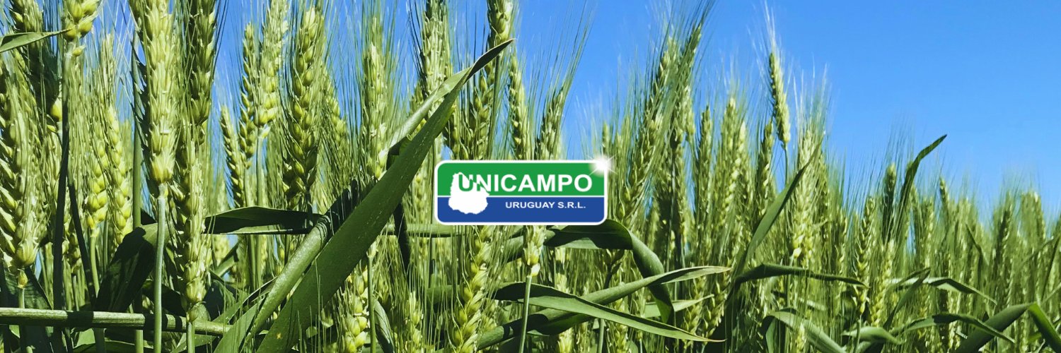 Unicampo Uruguay banner