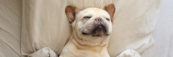 GabrellaObell's profile banner image