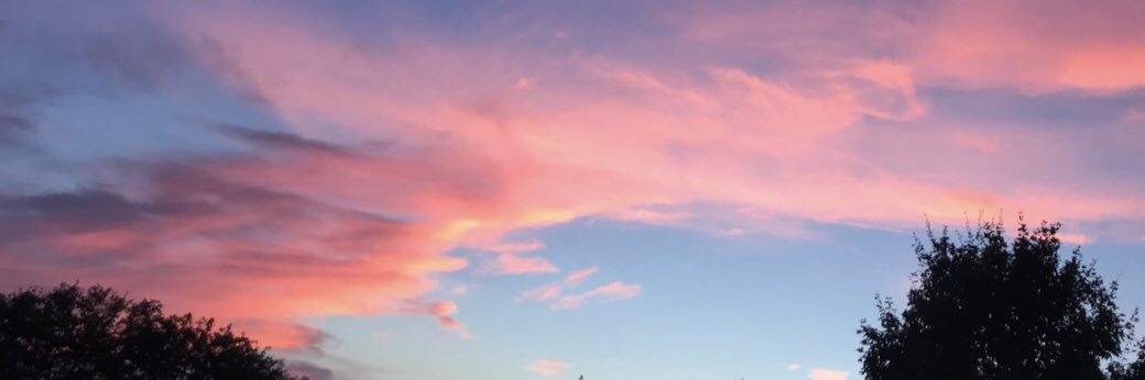 RachelApiolaza's profile banner image