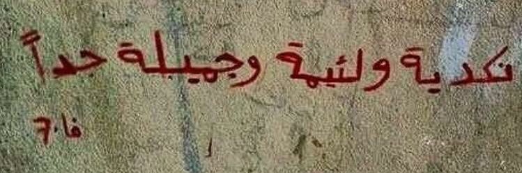 Sahar98559238's profile banner image