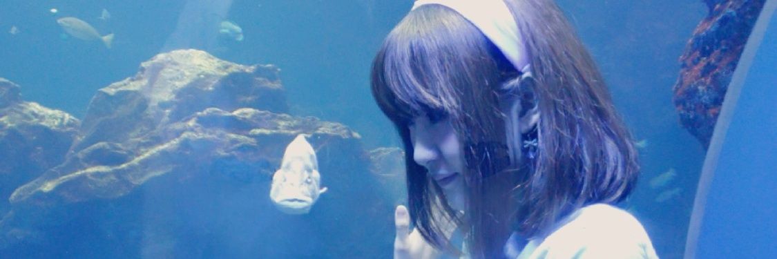 0622_rena's profile banner image