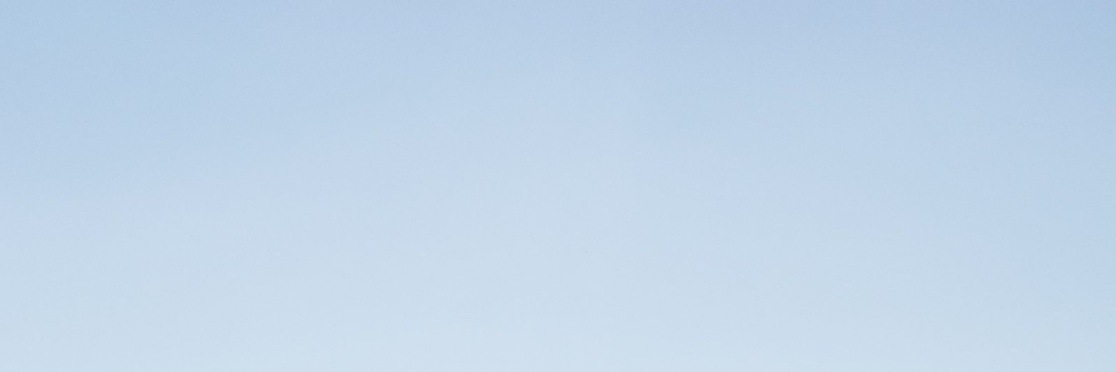 realbznuni's profile banner image