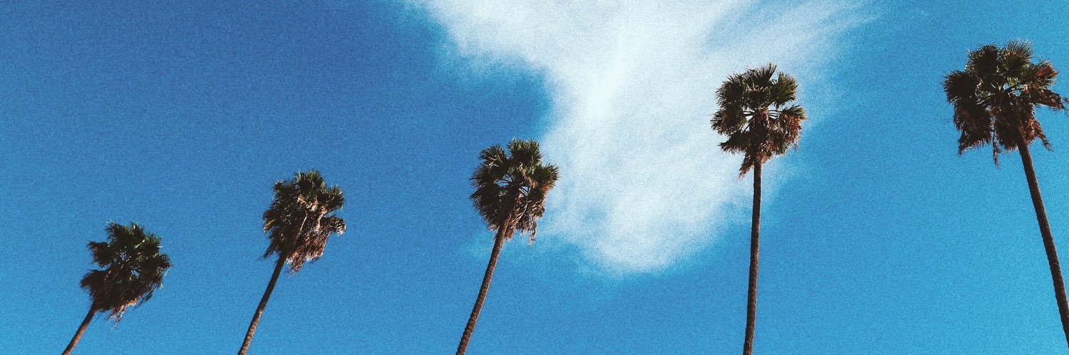 monicagcg's profile banner image