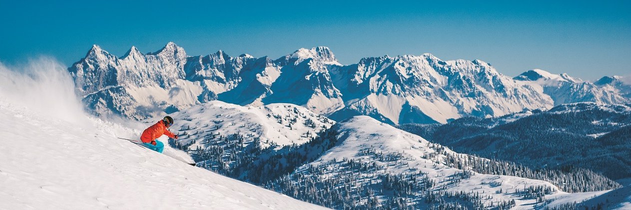 AltZau's profile banner image