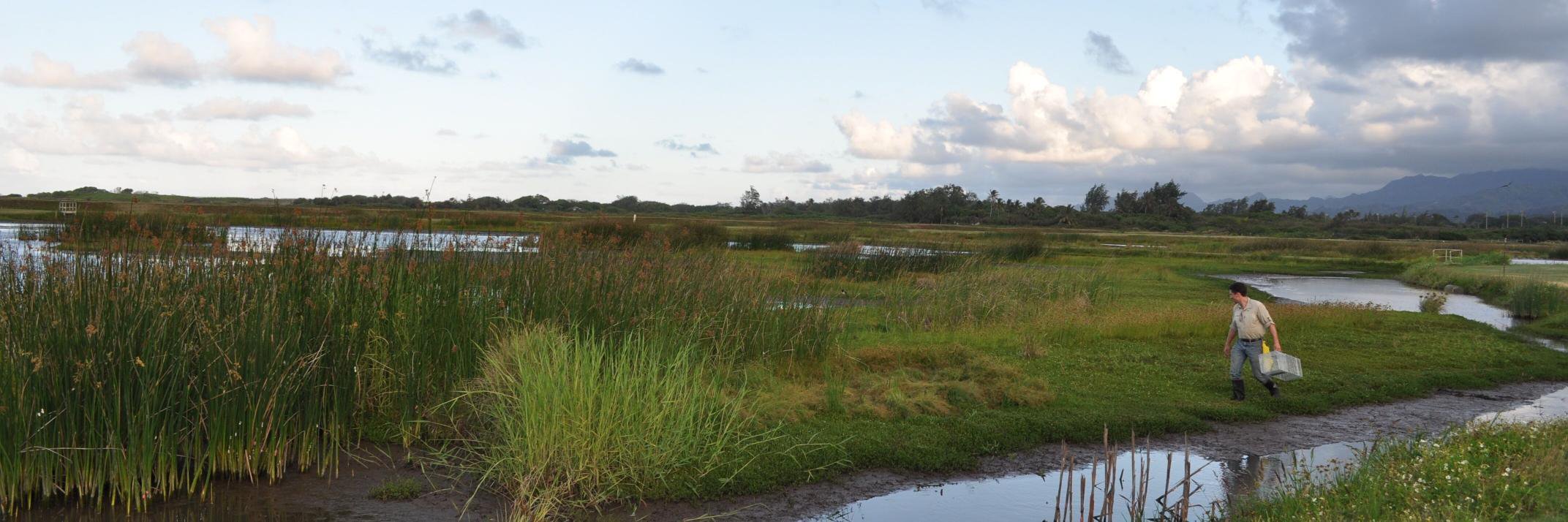 Charles B. van Rees banner