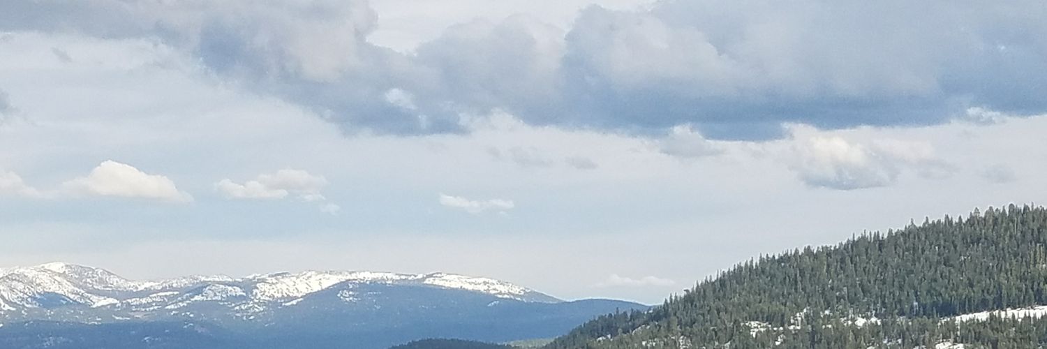 jercourter's profile banner image