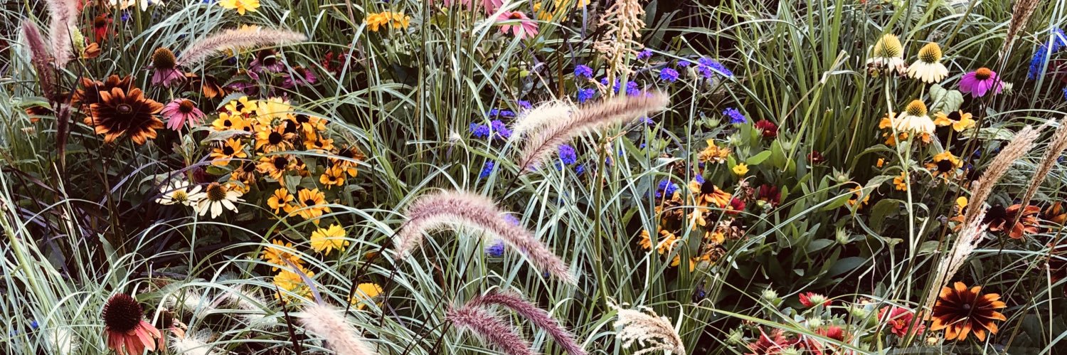 rijealous's profile banner image