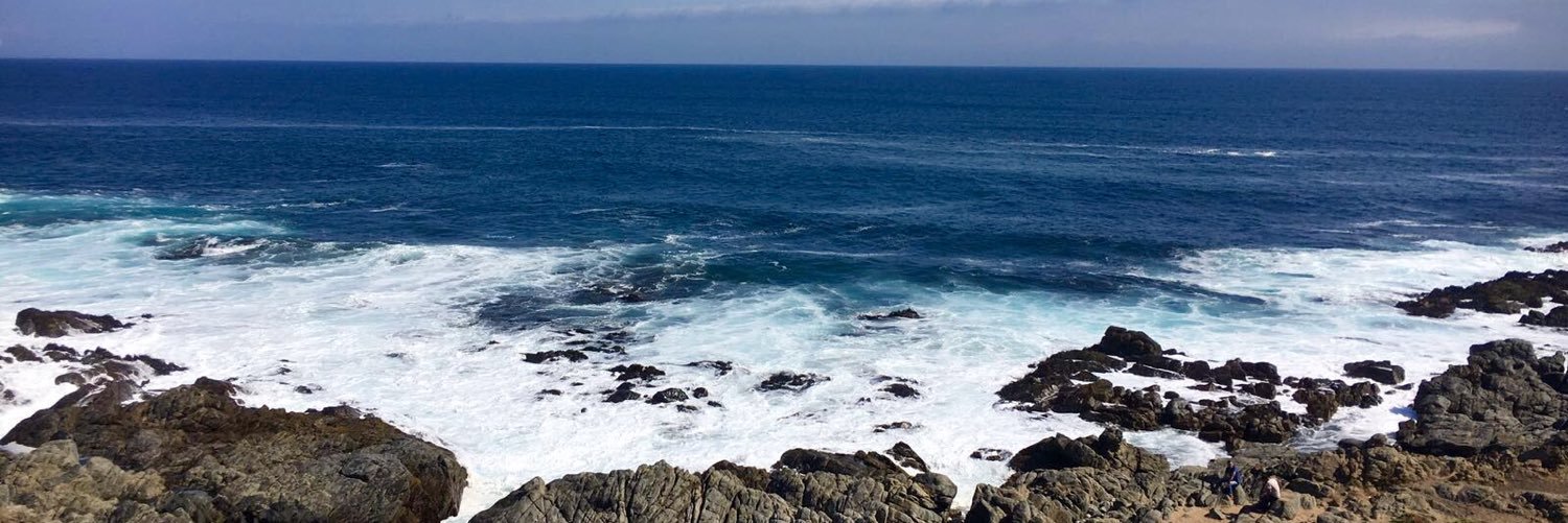camatus's profile banner image