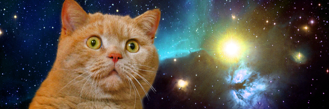 feedmesmarties's profile banner image