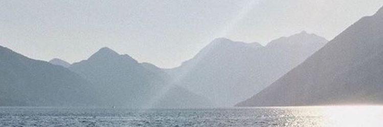N10cParapilL's profile banner image