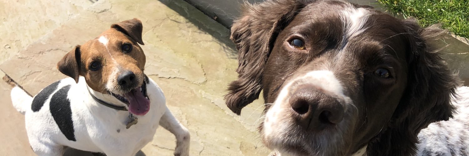 SallyHeyes73's profile banner image