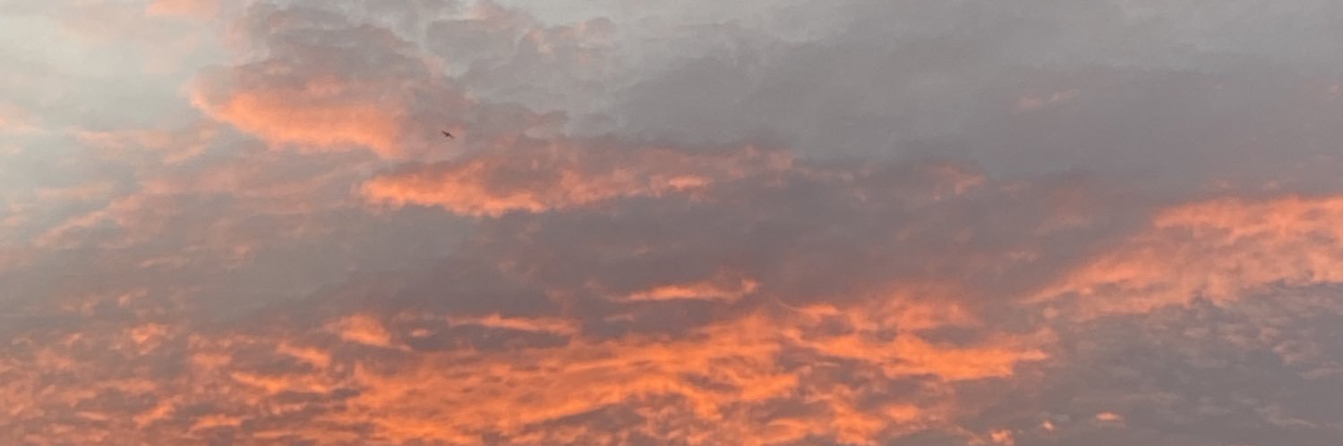 f0undmi's profile banner image