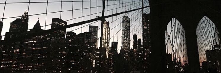 LuLiCamm's profile banner image