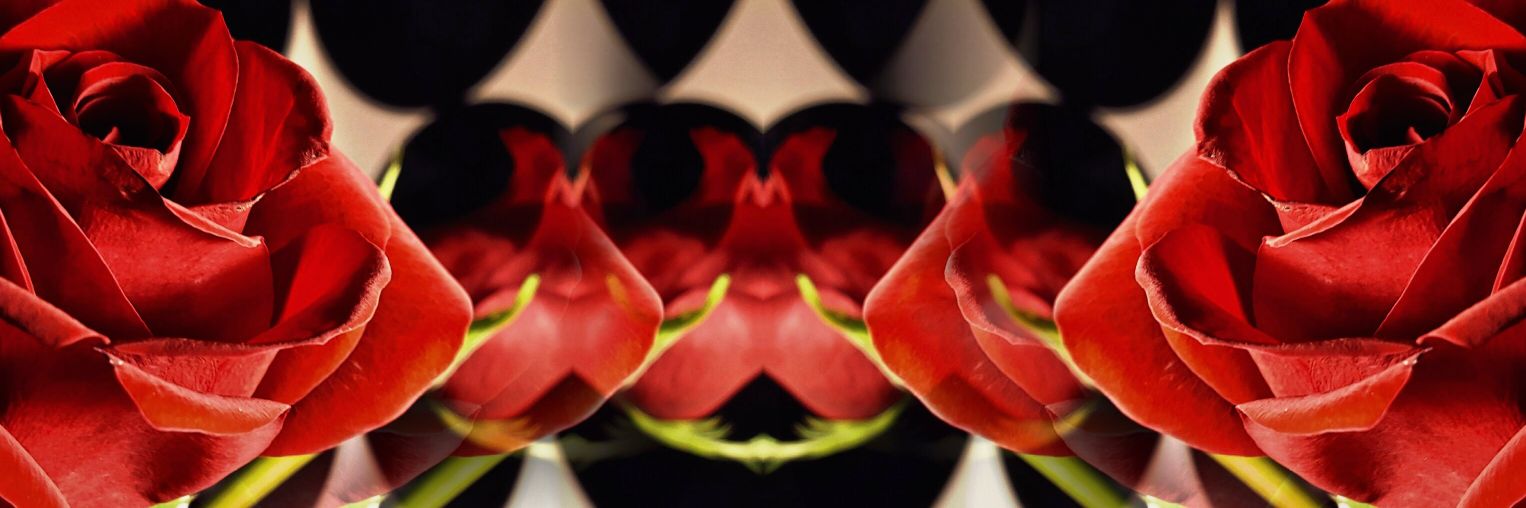 Montiny's profile banner image