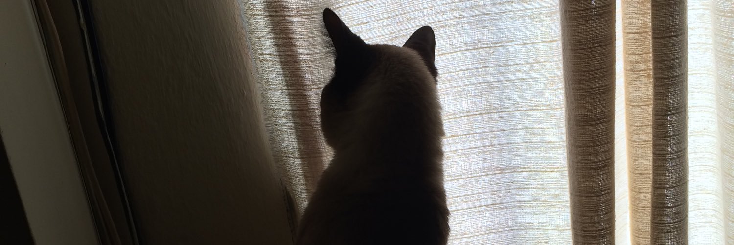 nofundodamar's profile banner image