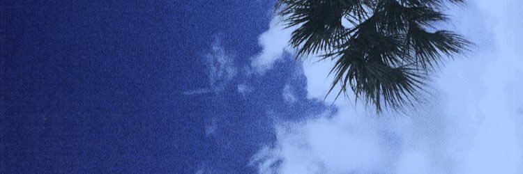 fridxroel's profile banner image