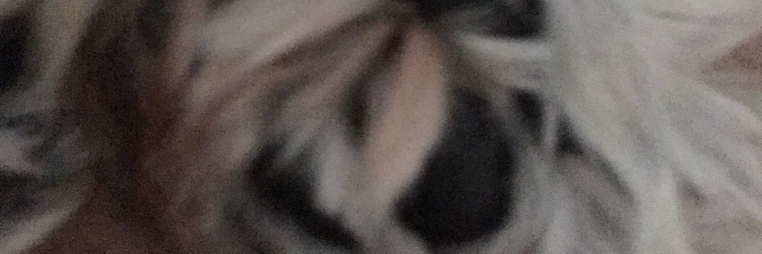 Elvis2701's profile banner image