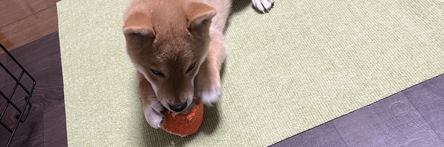 Kimi_Gsan's profile banner image