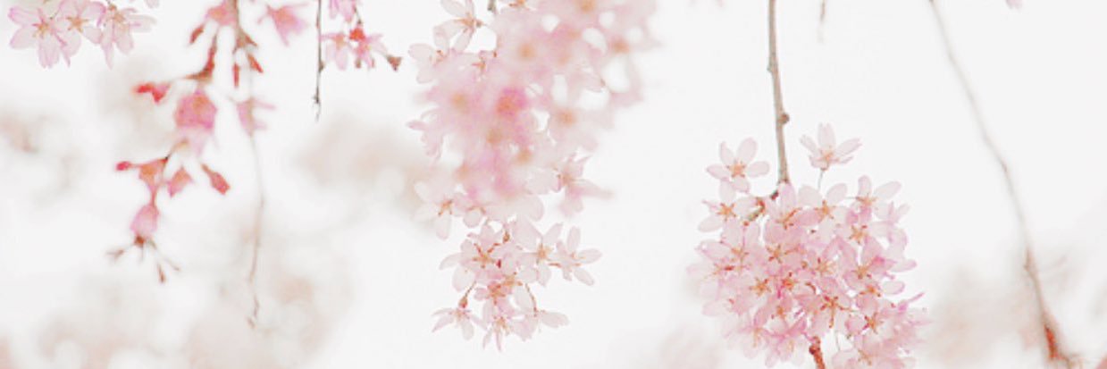 _Ba6oo's profile banner image