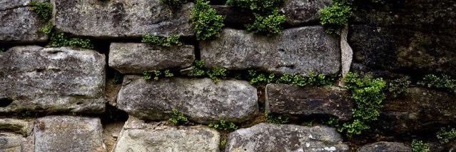 splitstonedgirl's profile banner image
