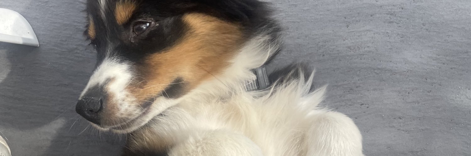 AudClt's profile banner image