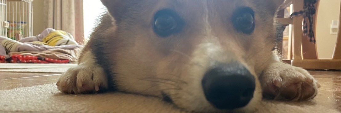 kpkp_mo's profile banner image
