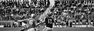 Keith Carmody banner